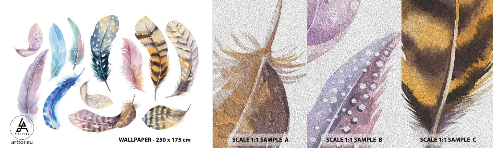 Campione di Fotomurale Premium Sand - Leggere, variopinte e multicolori - Piume di uccelli, Uccelli, Grafica - 100x30 cm