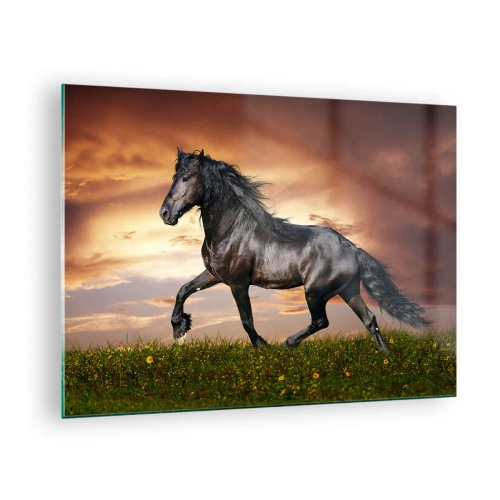 Quadro su vetro - Un cavallo nero che galoppa contro il sole al tramonto - 70x50cm - Il principe nero - Decorazione murale moderna per soggiorno e camera da letto ARTTOR