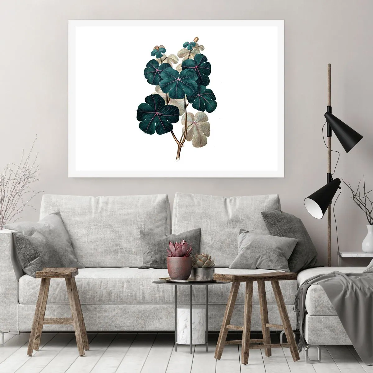 Poster - Dal vecchio erbario - 50x40 cm