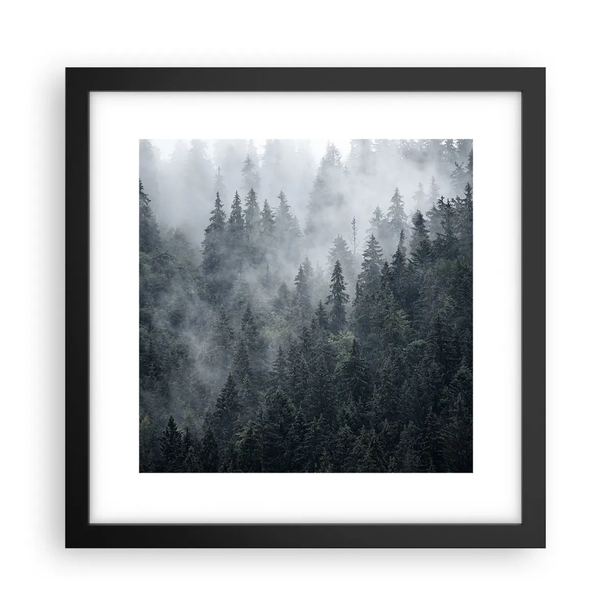 Poster in cornice nera - Alba nel bosco - 30x30 cm