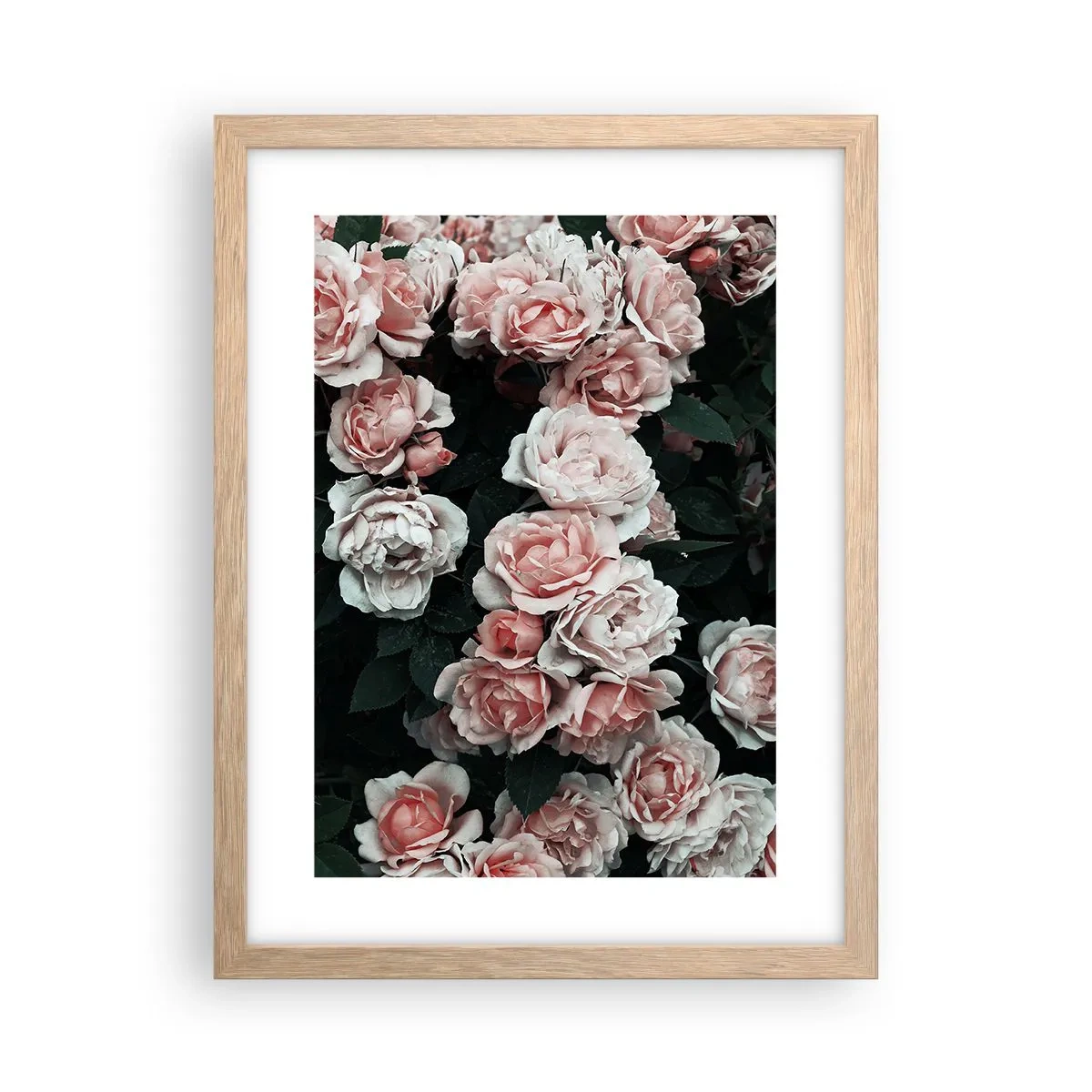 Poster in cornice rovere chiaro - Composizione di rose - 30x40 cm