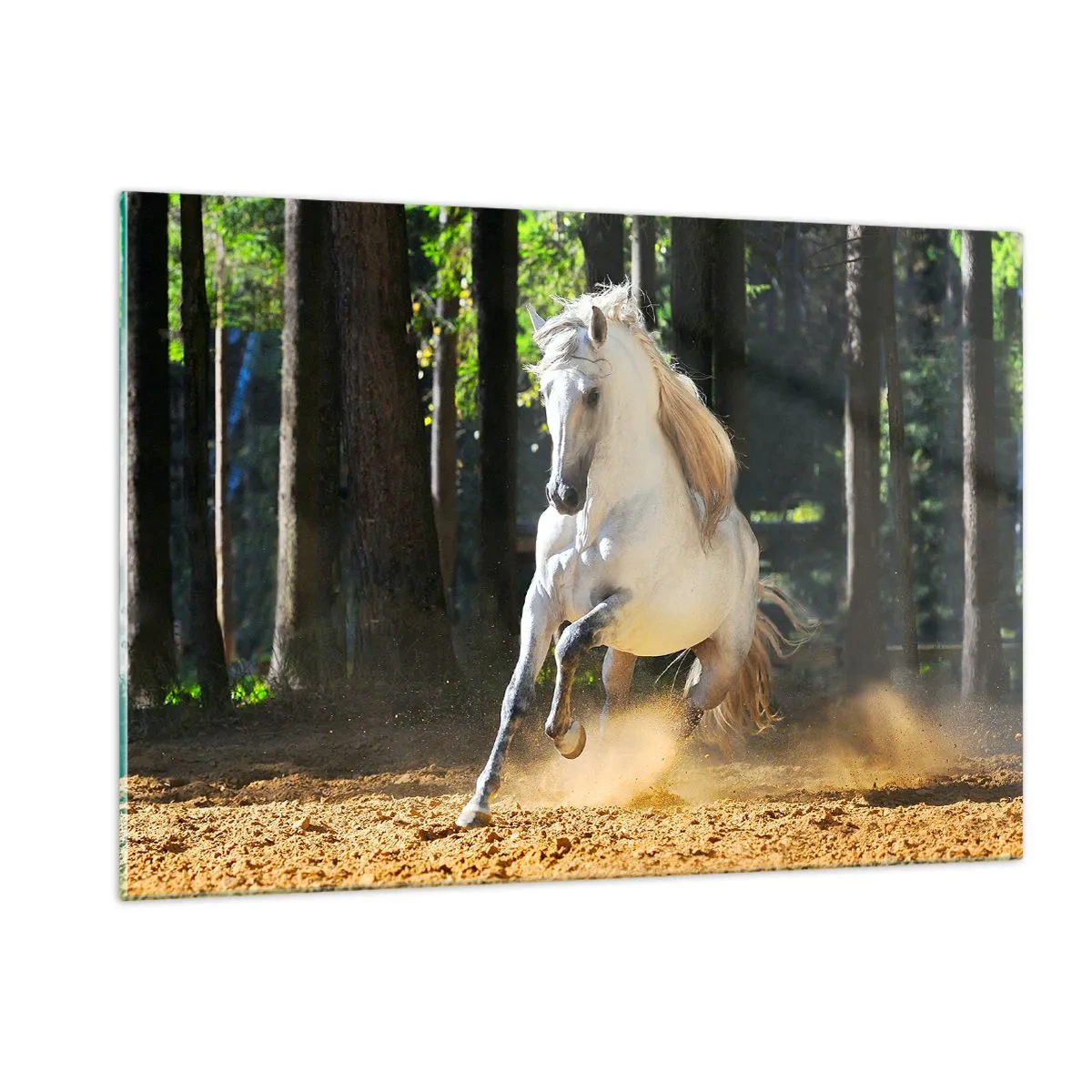 Quadro su vetro - Un cavallo bianco galoppa sul terreno sabbioso della foresta - 120x80cm - Come nei racconti fantasy - Decorazione murale moderna per soggiorno e camera da letto ARTTOR
