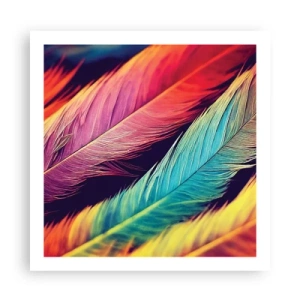 Poster - Arcobaleno piumato - 60x60 cm