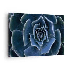 Quadro su tela - Stampe su Tela - Primo piano di una rosetta succulenta verde - 70x50cm - Fiore del deserto - Decorazione murale moderna per soggiorno e camera da letto ARTTOR