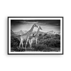 Poster in cornice nera - Alta classe in Africa - 91x61 cm