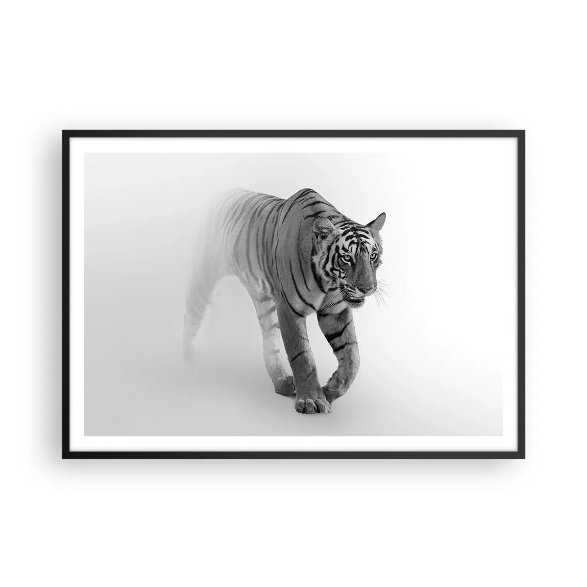 Poster in cornice nera - Una tigre che emerge dalla nebbia - 100x70cm - Incantato nella nebbia - Decorazione murale moderna per soggiorno e camera da letto ARTTOR