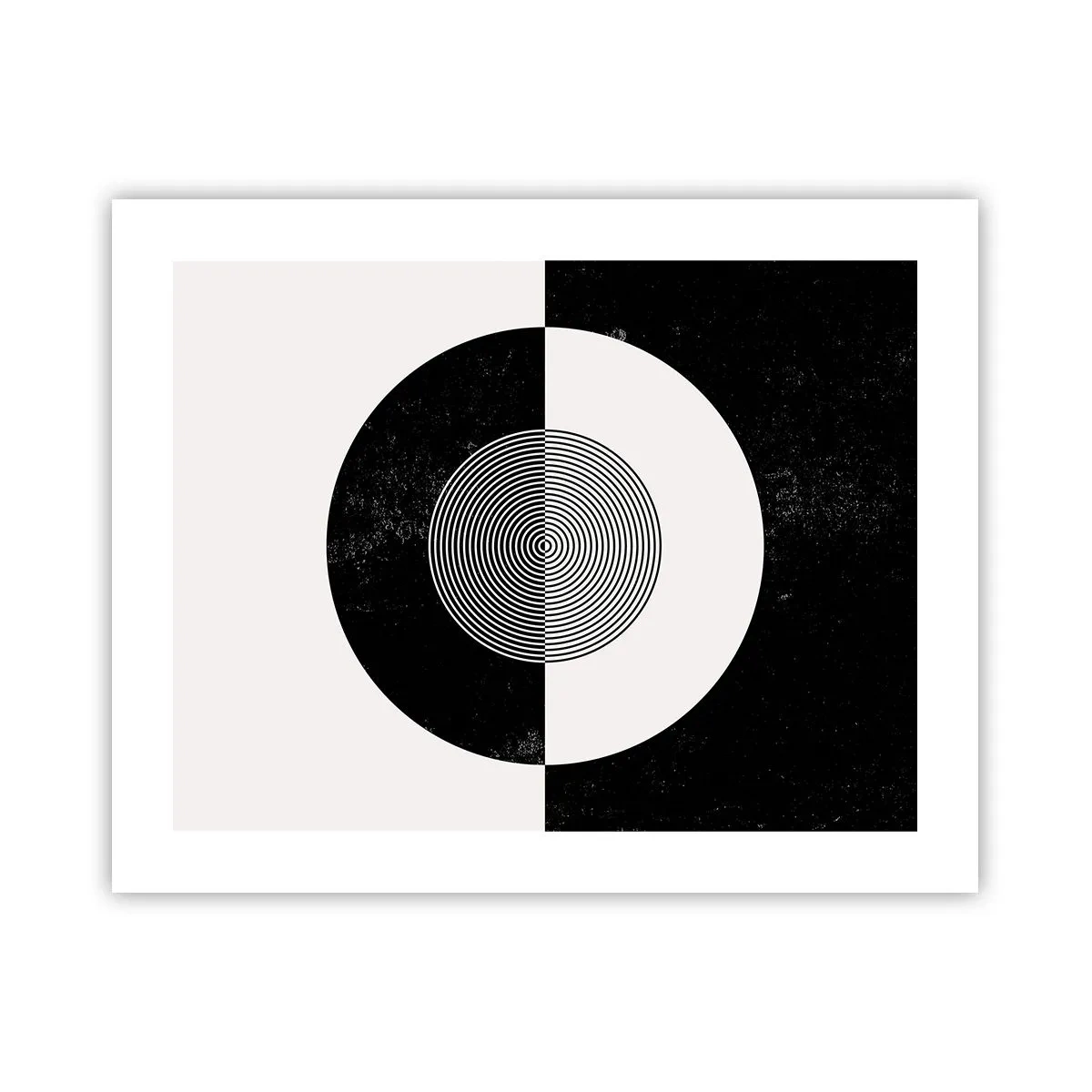 Poster - Armonia in bianco e nero - 50x40 cm