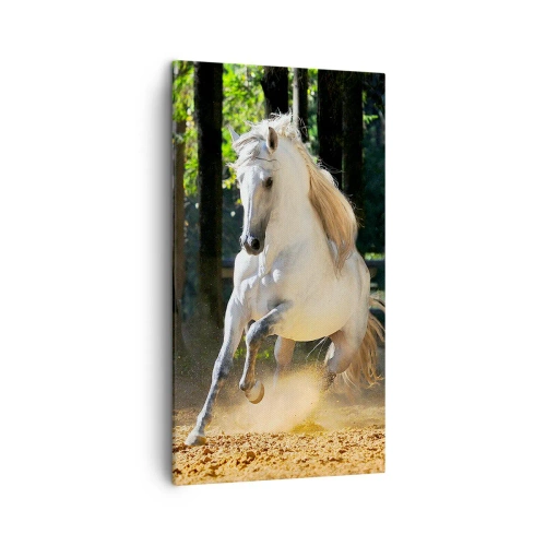 Quadro su tela - Stampe su Tela - Come nei racconti fantasy - 45x80 cm