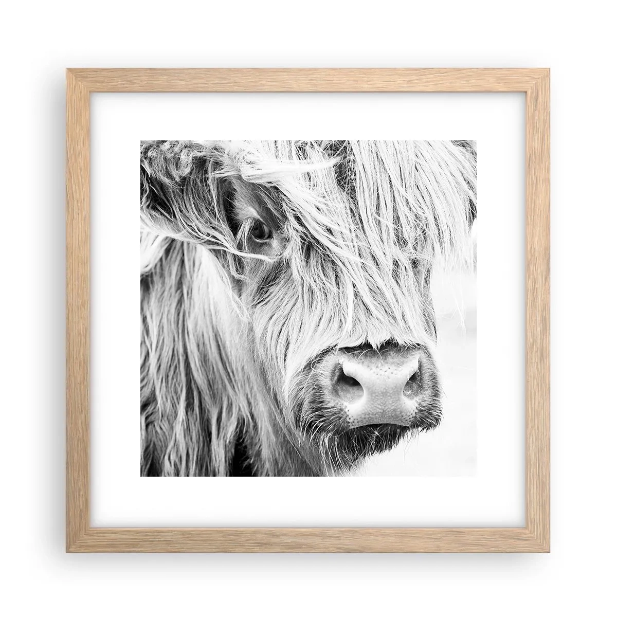 Poster in cornice rovere chiaro - Selvaticità scozzese - 30x30 cm