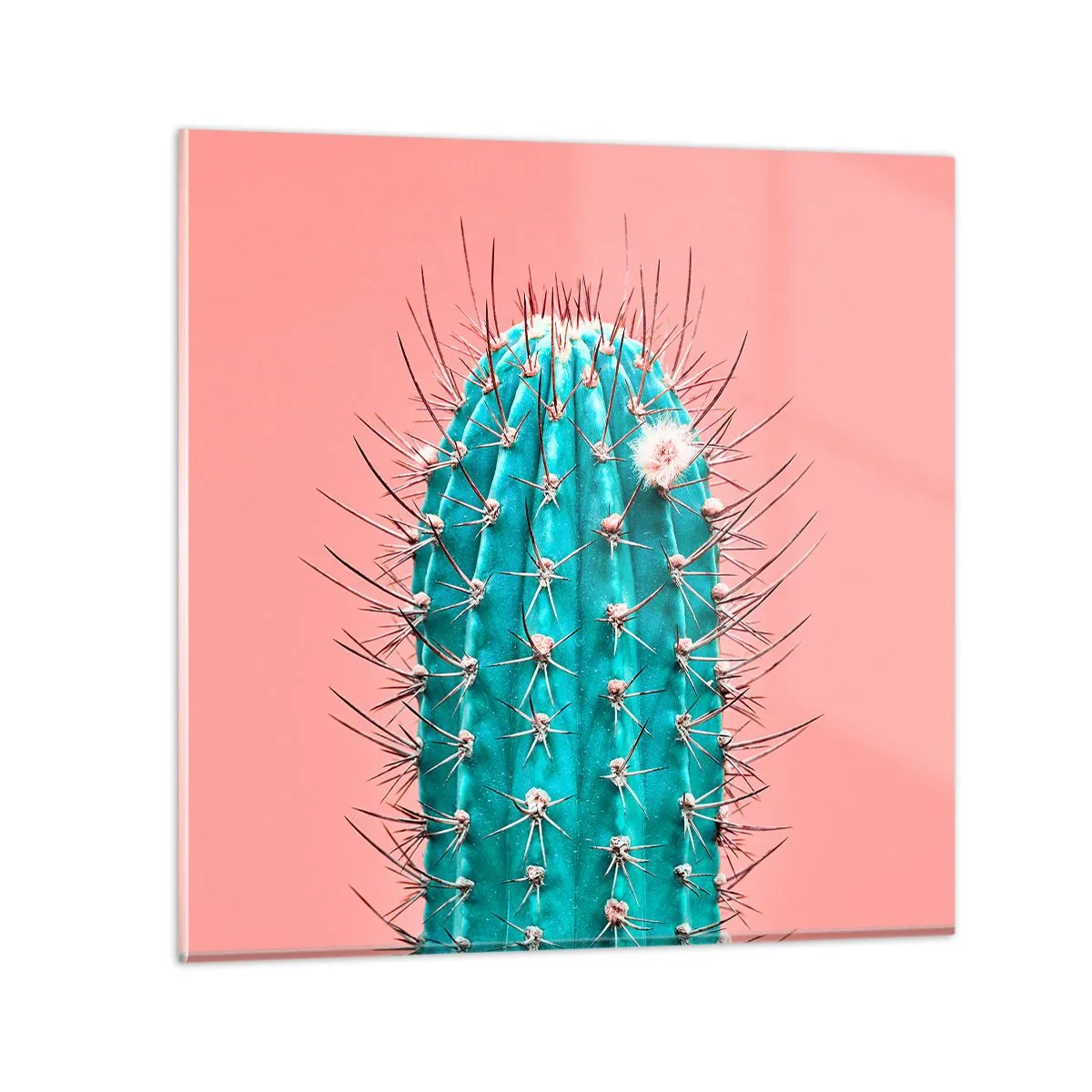 Quadro su vetro - Stai attento - 70x70 cm