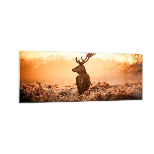 Quadro su vetro - Cervo nei raggi del sole nascente - 140x50cm - Il signore sulle sue terre - Decorazione murale moderna per soggiorno e camera da letto ARTTOR