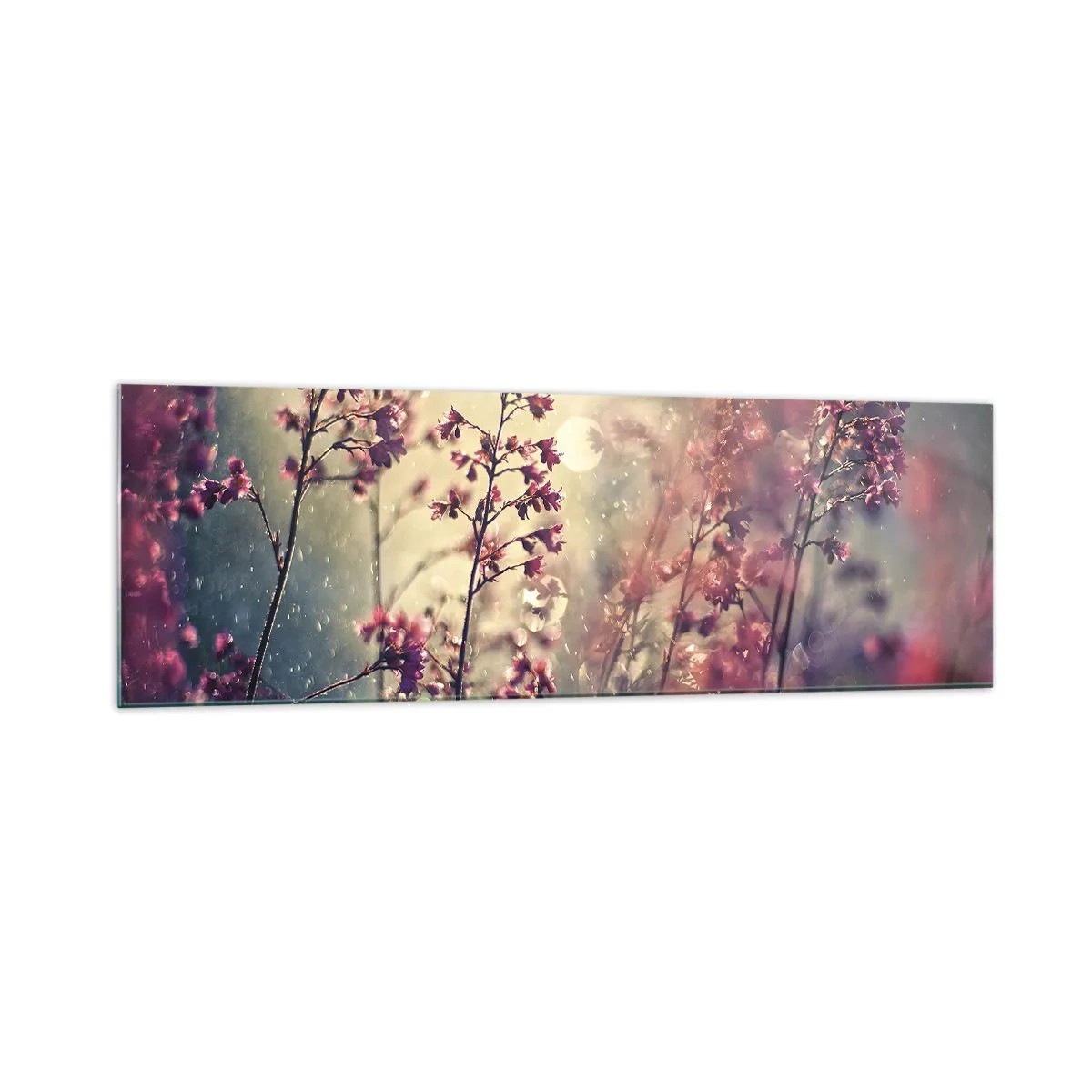 Quadro su vetro - Fiori alla luce del sole sullo sfondo della natura - 160x50cm - Giardino misterioso - Decorazione murale moderna per soggiorno e camera da letto ARTTOR