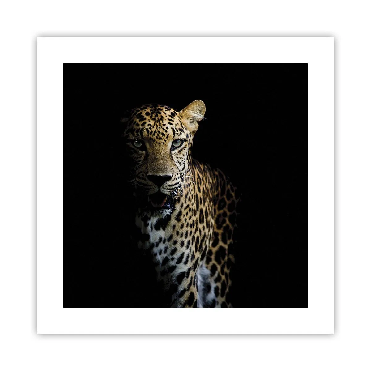 Poster - Bellezza tenebrosa - 40x40 cm