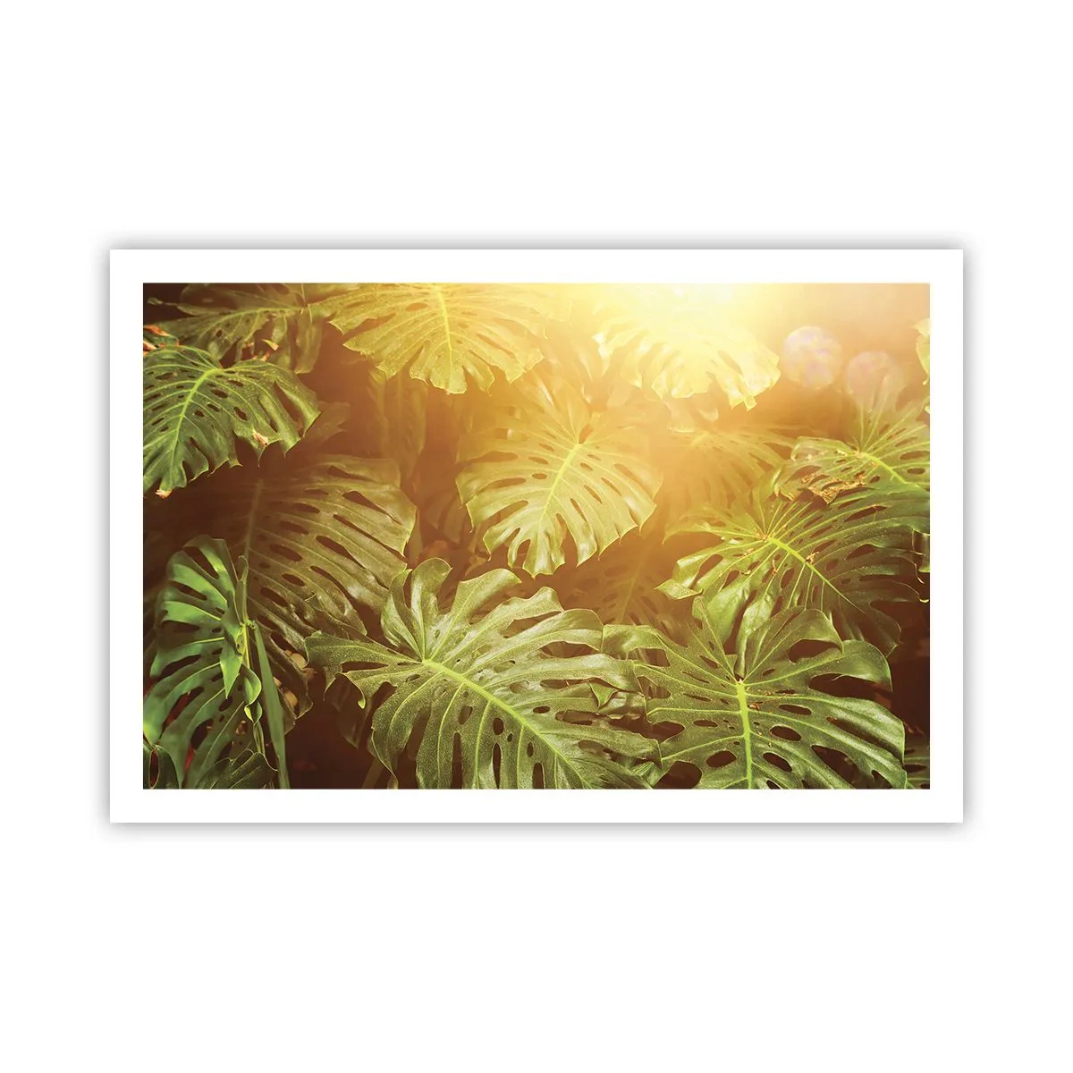 Poster - Entrando nel verde... - 91x61 cm