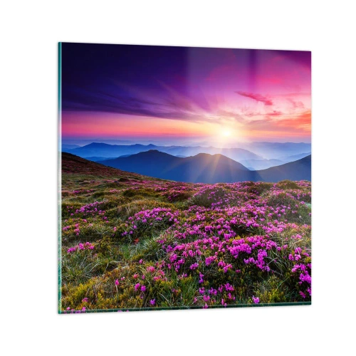 Quadro su vetro - Il profumo dei fiori freschi del campo - 40x40 cm