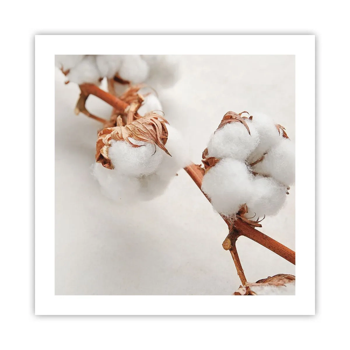 Poster - Semplicemente un abbraccio - 50x50 cm