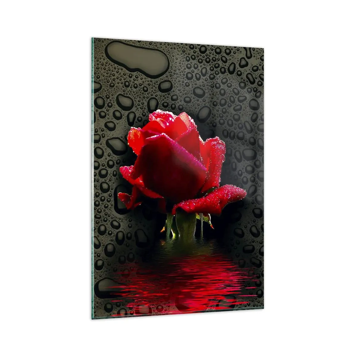 Quadro su vetro - Rosa rossa con gocce d'acqua su sfondo scuro - 80x120cm - Rosso e nero - Decorazione murale moderna per soggiorno e camera da letto ARTTOR