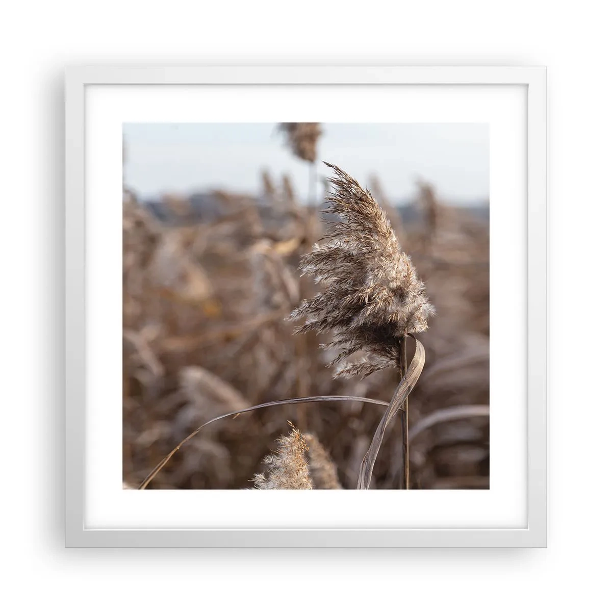 Poster in cornice bianca - è tempo di volare col vento - 40x40 cm
