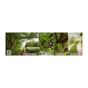 Campione di Fotomurale Premium Canvas - Et in Arcadia ego - Paesaggio, Strada sterrata, Natura - 100x30 cm