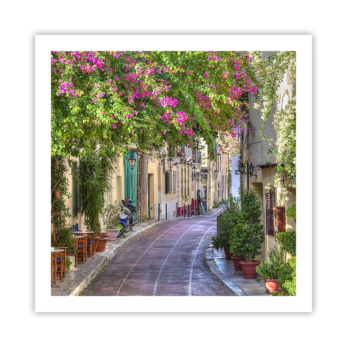 Poster - Angolo fiorito - 60x60 cm
