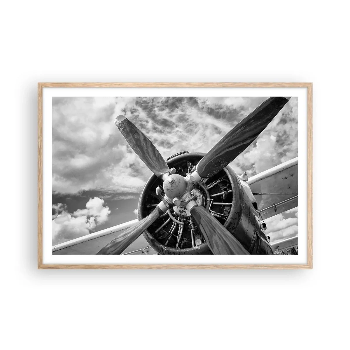 Poster in cornice rovere chiaro - Il dominatore dell'aria - 91x61 cm