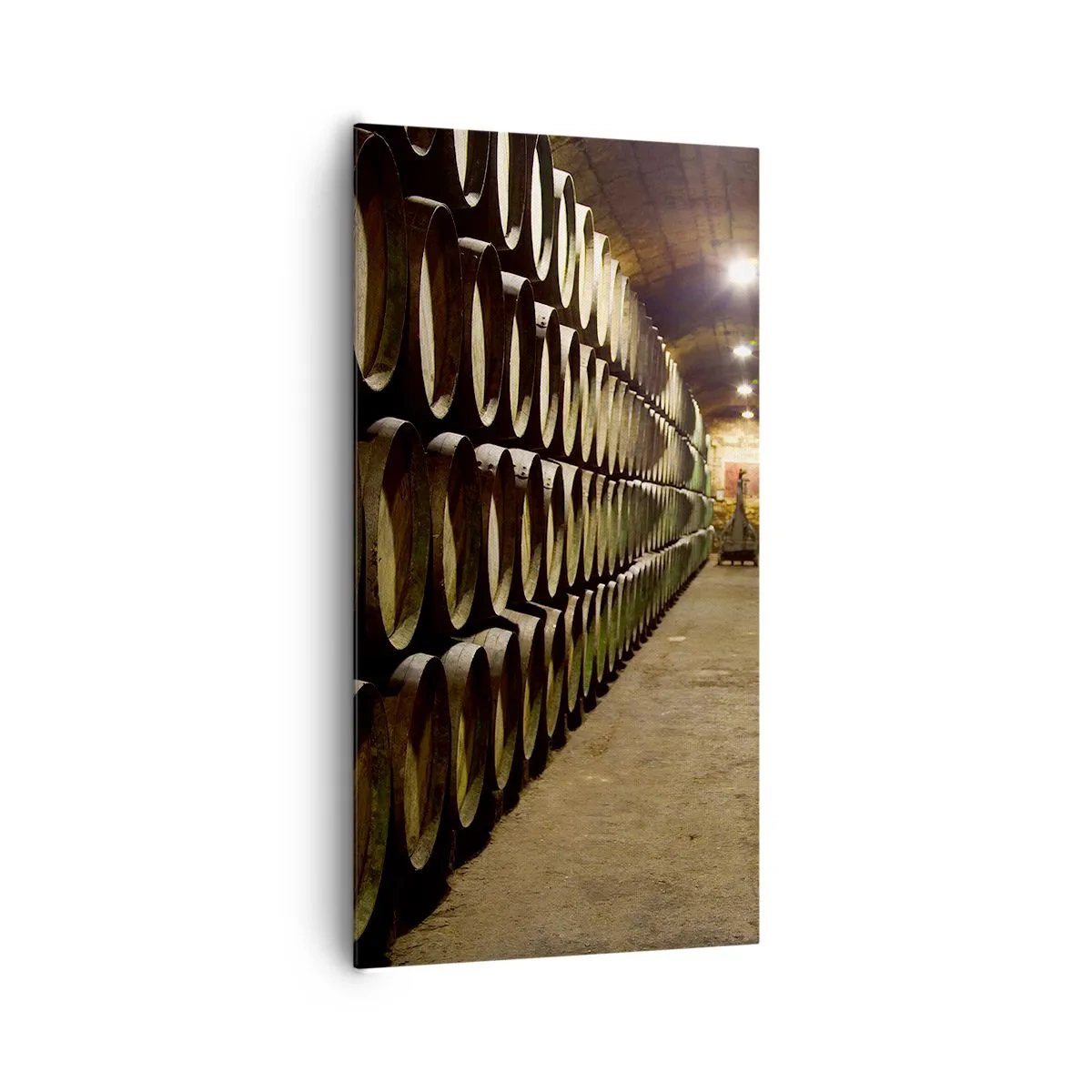 Quadro su tela - Stampe su Tela - È bene riposare - 65x120 cm