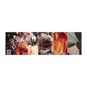 Campione di Fotomurale Premium Sand - Avvolti dalla bellezza - Fiori, Mazzo di fiori, Rosa - 100x30 cm