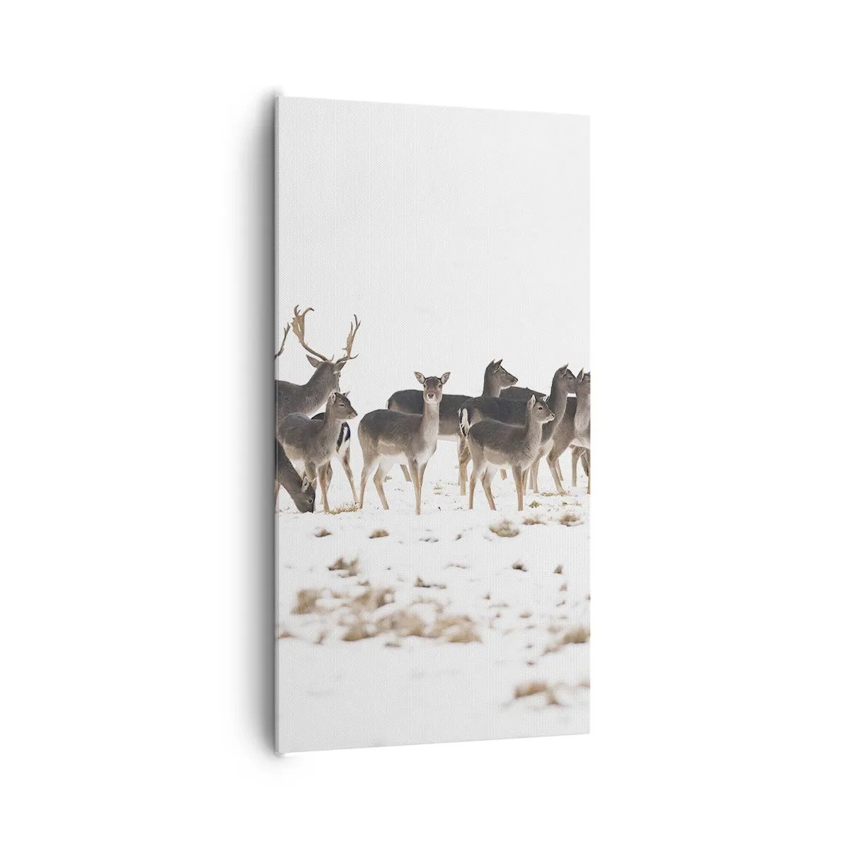 Quadro su tela - Stampe su Tela - Tra poco è Natale? - 65x120 cm