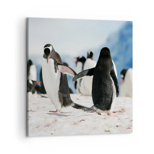 Quadro su tela - Stampe su Tela - Danza sulla neve - 50x50 cm