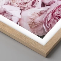 Rovere chiaro