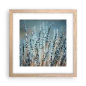 Poster in cornice rovere chiaro - Campo profumato - 30x30 cm