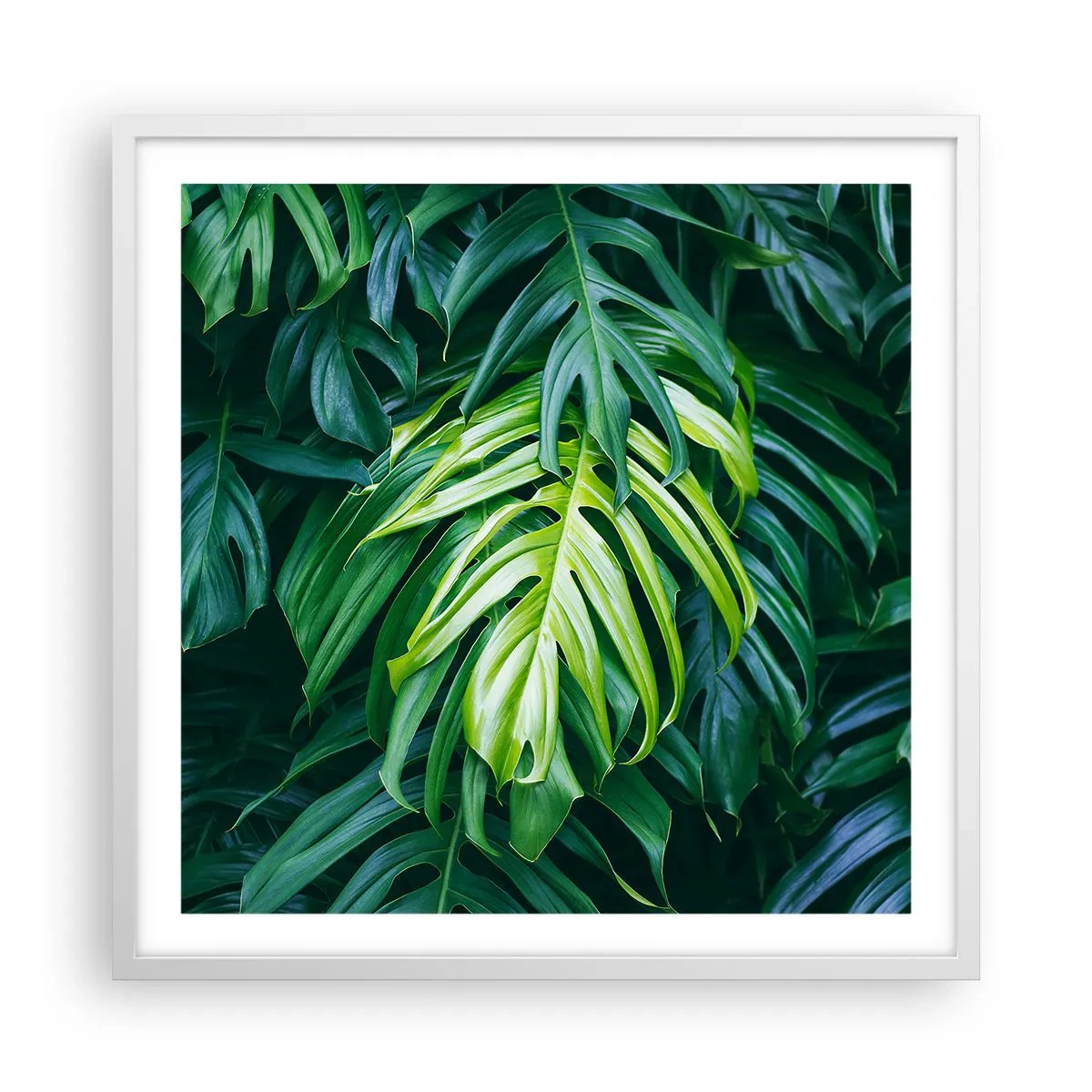 Poster in cornice bianca - Immergersi nella freschezza - 60x60 cm