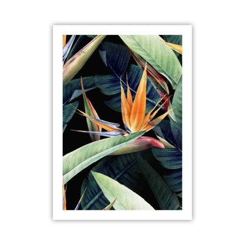 Poster - Fiore esotico di strelitzia su sfondo scuro - 50x70cm - I fiori fiammeggianti dei tropici - Decorazione murale moderna per soggiorno e camera da letto ARTTOR