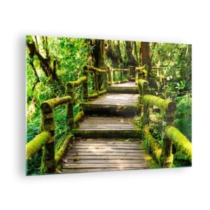 Quadro su vetro - Un sentiero di legno in una foresta verde ricoperta di muschio - 70x50cm - Un corridoio nel verde - Decorazione murale moderna per soggiorno e camera da letto ARTTOR