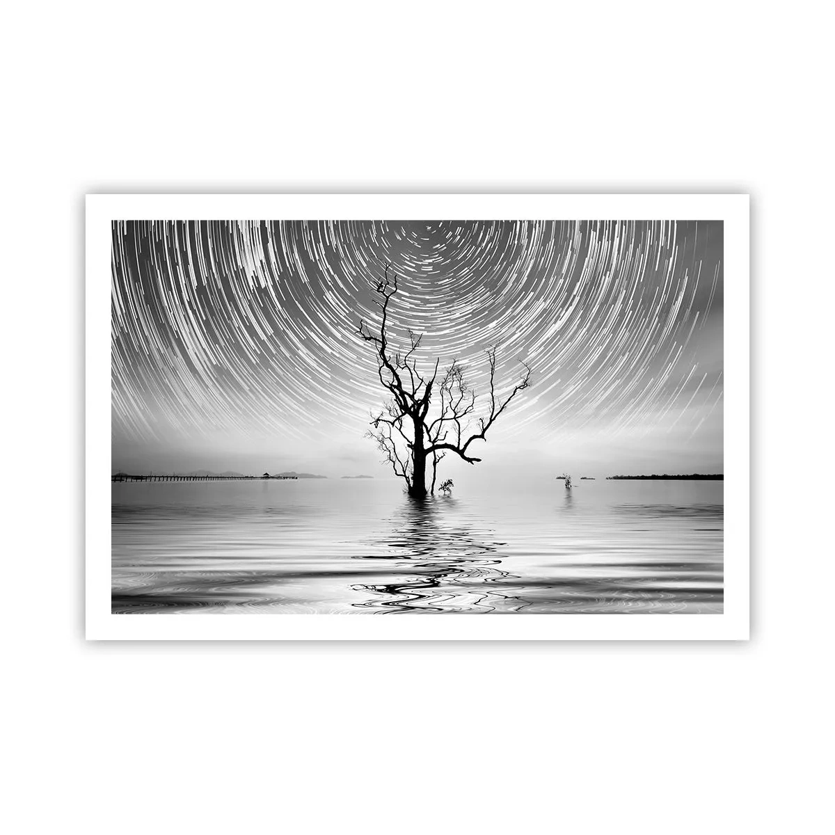 Poster - Sinfonia della natura - 91x61 cm