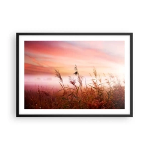 Poster in cornice nera - Un campo d'erba sullo sfondo di un pittoresco tramonto - 70x50cm - Aquiloni, denti di leone, vento - Decorazione murale moderna per soggiorno e camera da letto ARTTOR