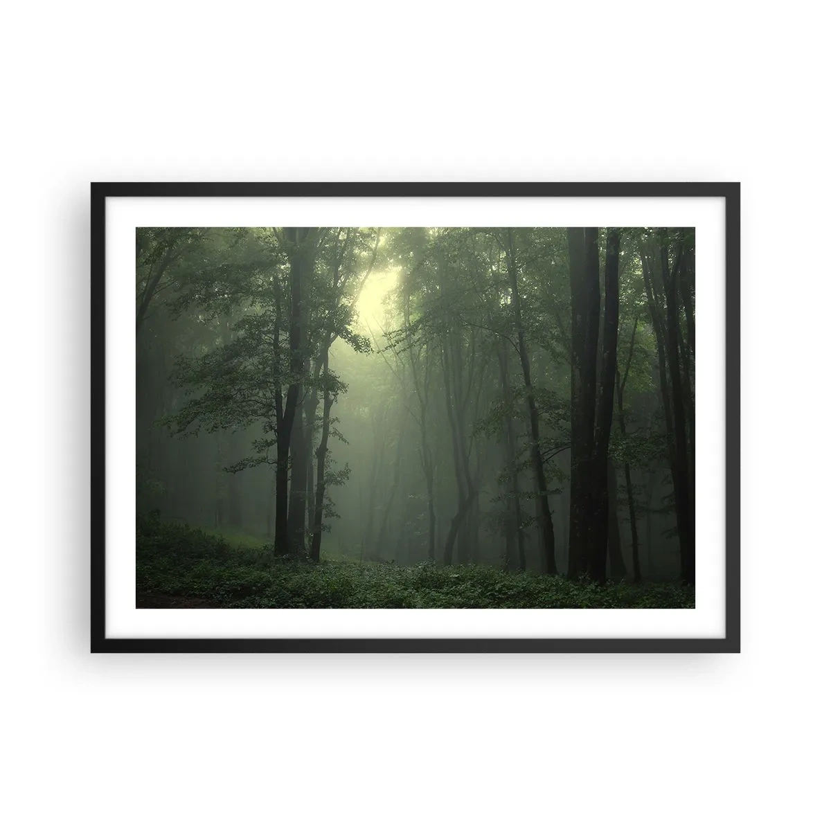 Poster in cornice nera - Una foresta verde al mattino avvolta in una delicata nebbia - 70x50cm - Prima che si svegli - Decorazione murale moderna per soggiorno e camera da letto ARTTOR