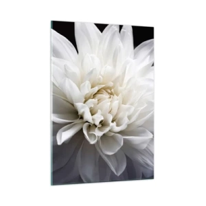 Quadro su vetro - Primo piano di una dalia bianca su sfondo nero e grigio - 50x70cm - Il mattino della sposa - Decorazione murale moderna per soggiorno e camera da letto ARTTOR