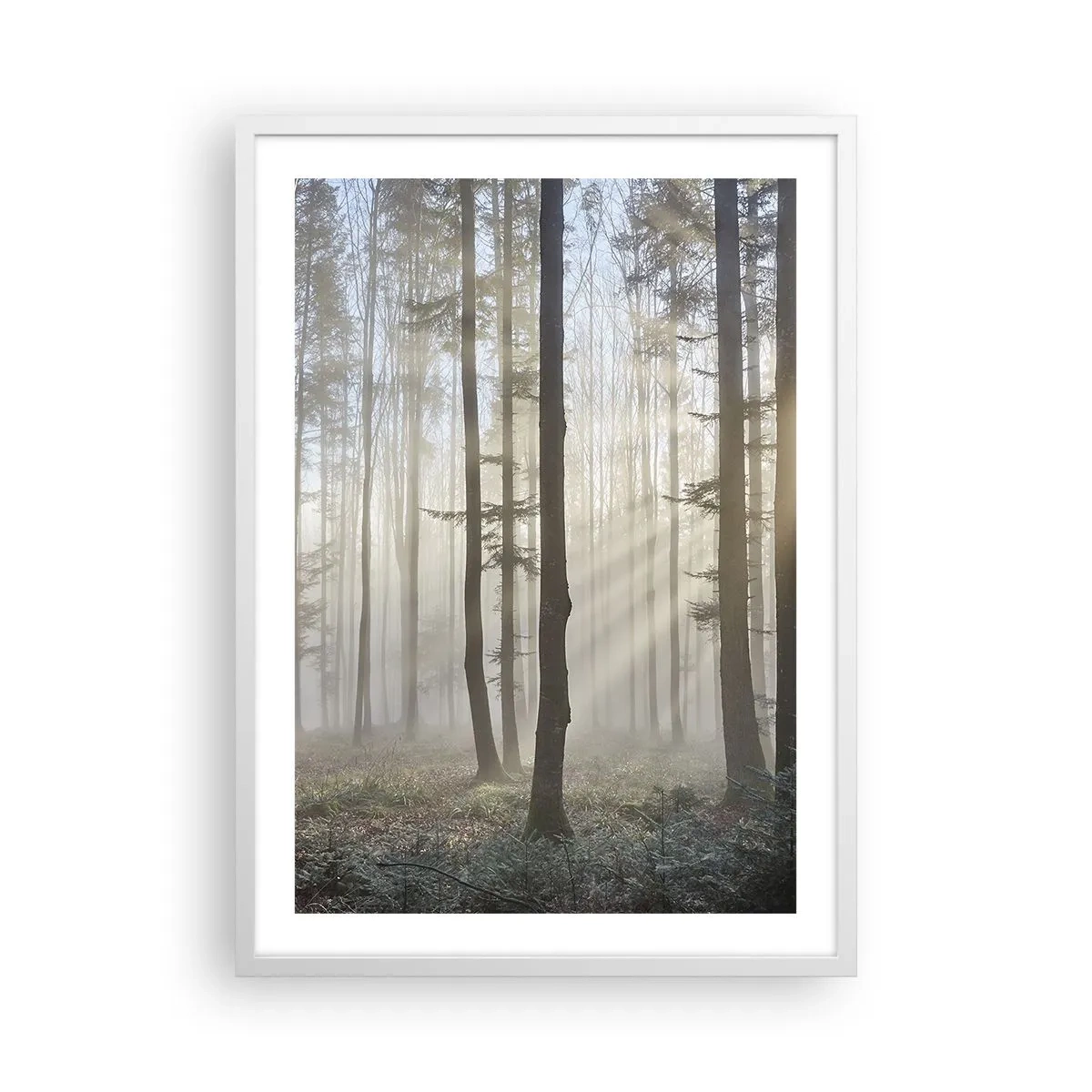 Poster in cornice bianca - Anche la nebbia si è svegliata - 50x70 cm