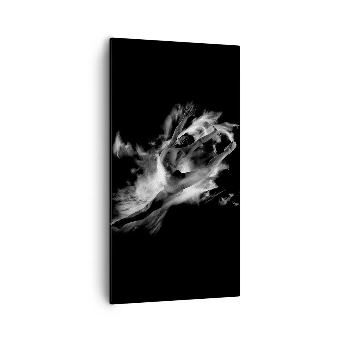 Quadro su tela - Stampe su Tela - Fermo in volo - 55x100 cm