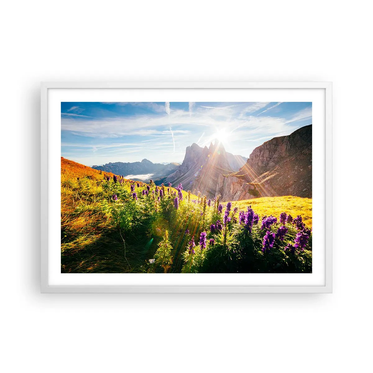 Poster in cornice bianca - La vita segreta delle erbe - 70x50 cm