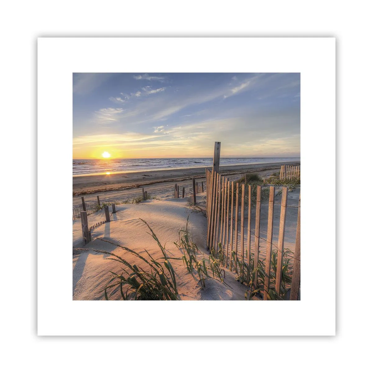 Poster - Luci e ombre del vento - 30x30 cm