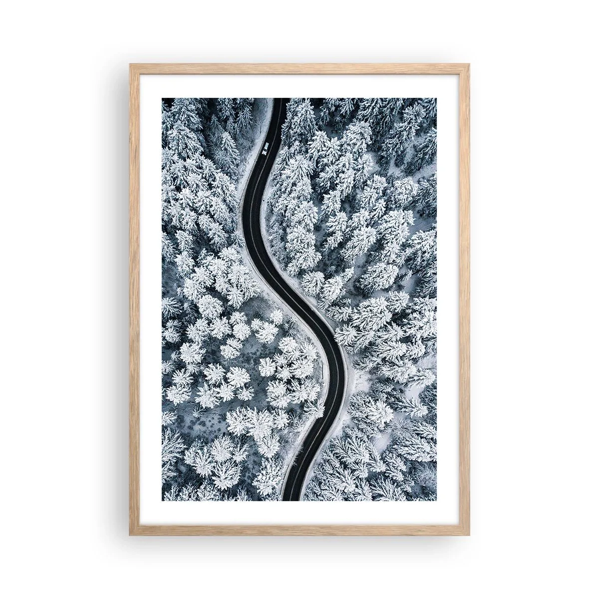 Poster in cornice rovere chiaro - Attraverso il bosco invernale - 50x70 cm