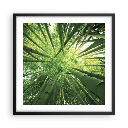 Poster in cornice nera - Nella foresta di bambù - 50x50 cm