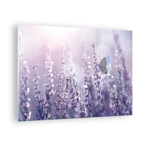 Quadro su vetro - Una farfalla in un campo di lavanda al sole - 70x50cm - Il bacio della farfalla - Decorazione murale moderna per soggiorno e camera da letto ARTTOR