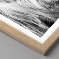 Rovere chiaro