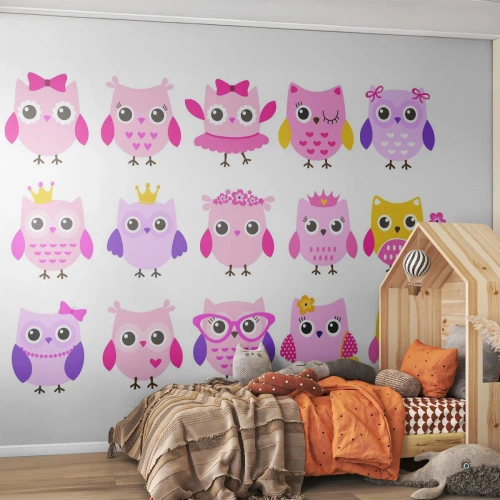 Fotomurali Premium Canvas - Una più dolce dell'altra - Uccelli, Gufo, Per bambini - 500x350 cm