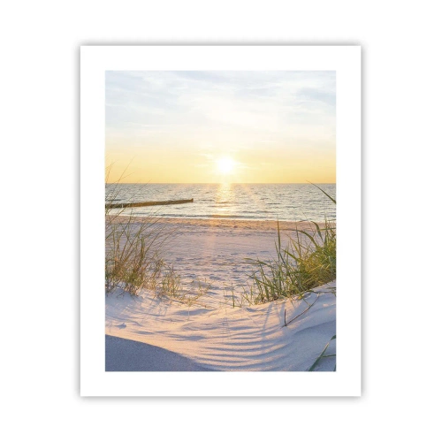 Poster - Rumore del mare, uccelli che cantano, spiaggia selvatica tra i cespugli... - 40x50 cm