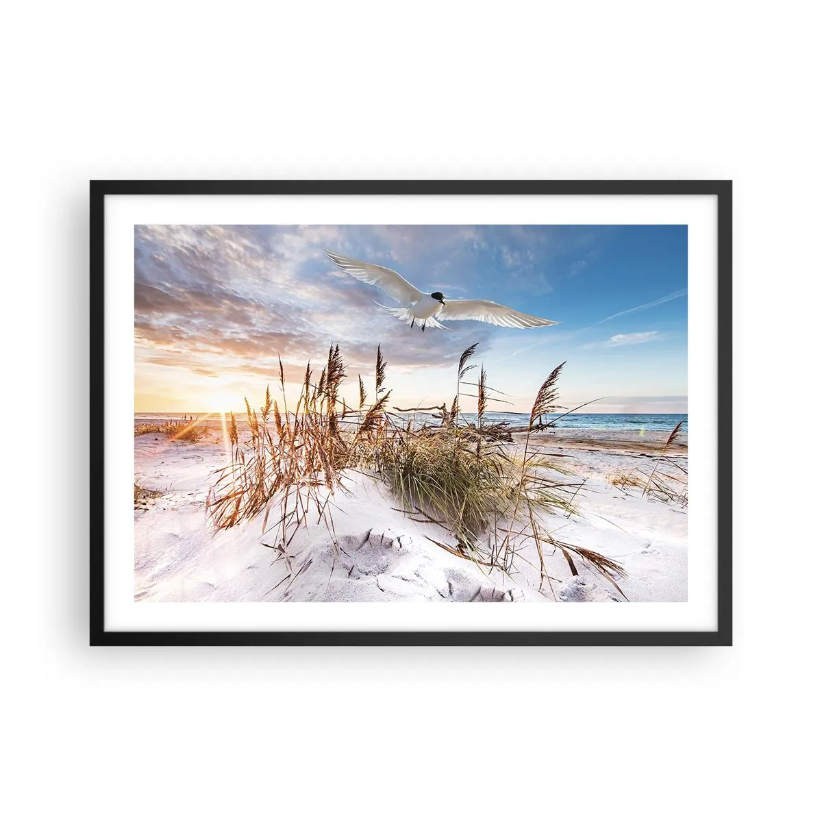 Poster in cornice nera - Spiaggia con gabbiani che volano al tramonto - 70x50cm - Vento dal mare - Decorazione murale moderna per soggiorno e camera da letto ARTTOR