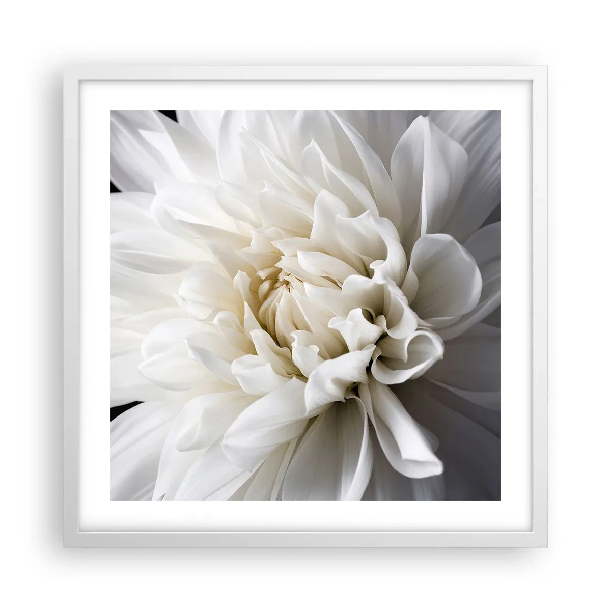 Poster in cornice bianca - Il mattino della sposa - 50x50 cm